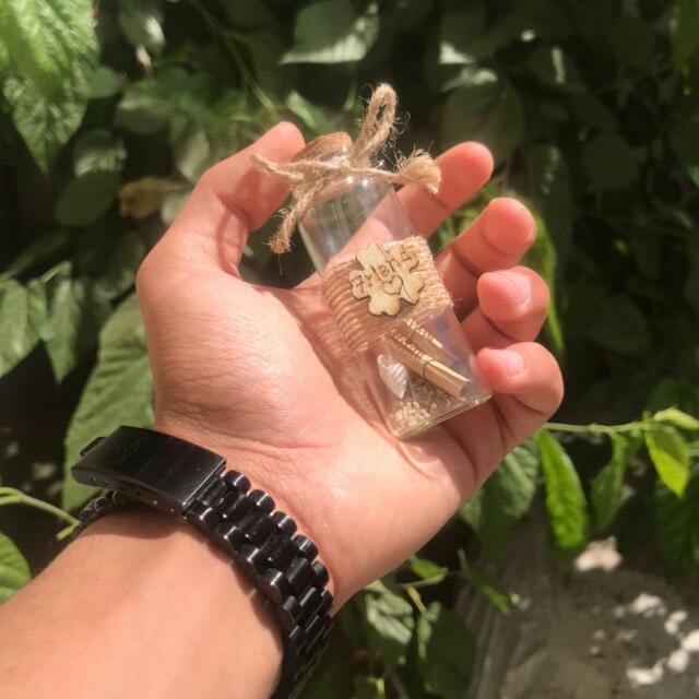 احمد الطشي